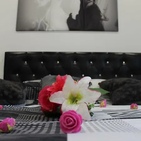 Privatif Spa, Jacuzzi , Wifi, Netflix Apartment Straßburg