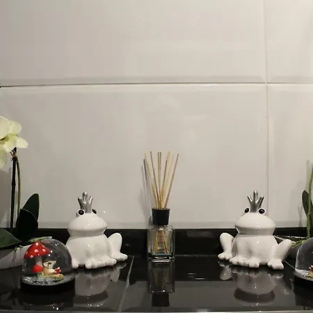 Privatif Spa, Jacuzzi , Wifi, Netflix * Straßburg