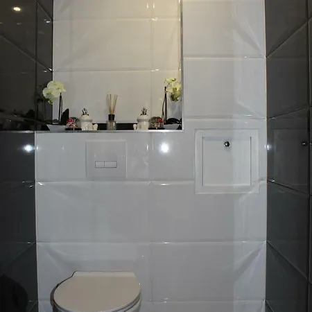 Privatif Spa, Jacuzzi , Wifi, Netflix Straßburg