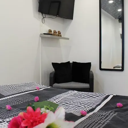 Apartment Privatif Spa, Jacuzzi , Wifi, Netflix Strasbourg